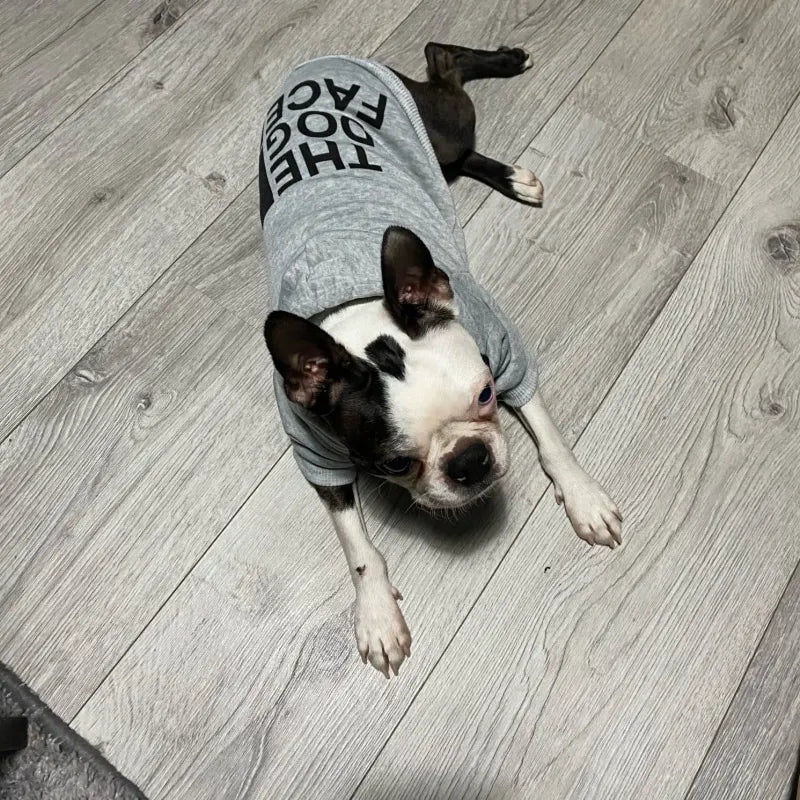 Stylish Dog Hoodies