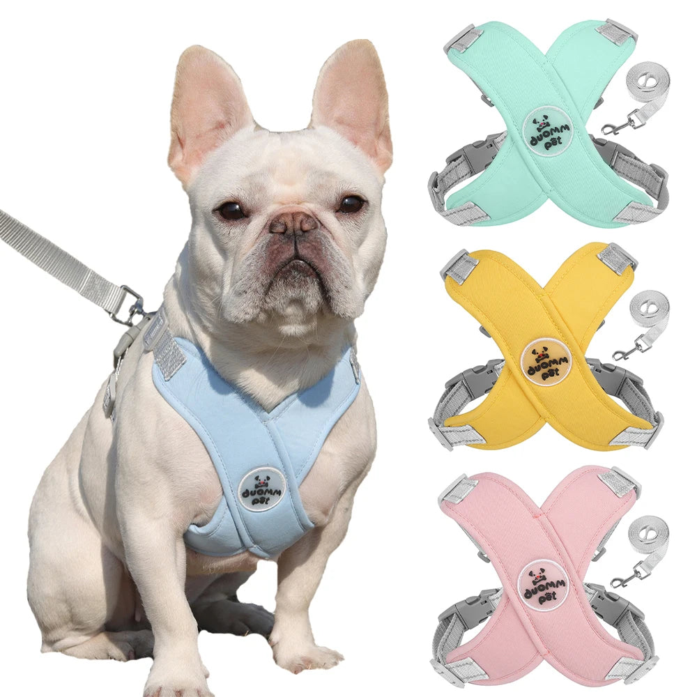 Reflective Dog Harness And Leash Set