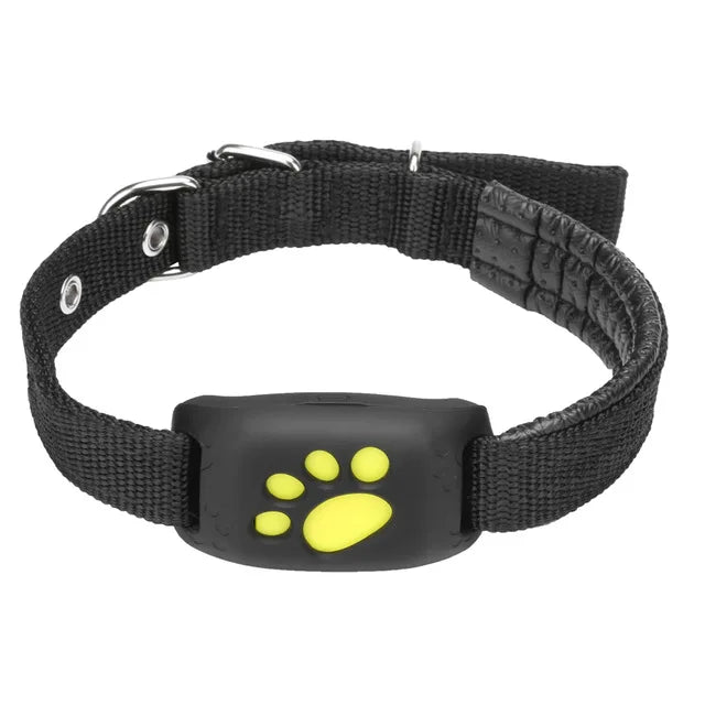 GPS Dog Tracker Collar GSM & Wifi Capability