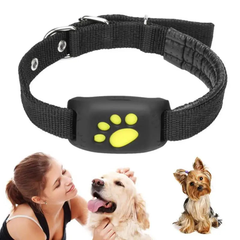 GPS Dog Tracker Collar GSM & Wifi Capability